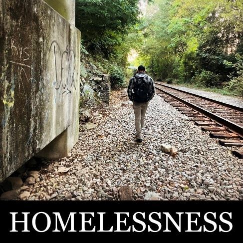 2021 LC homeless survey