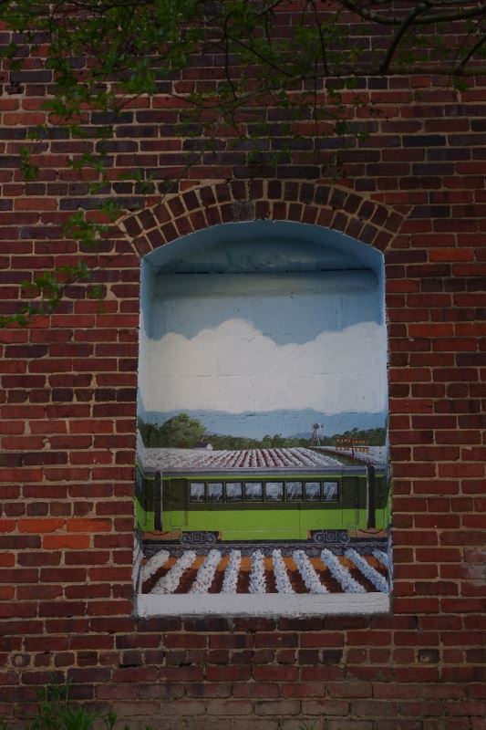 Window Train Mural